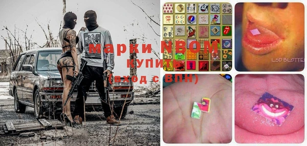 шишки Балахна