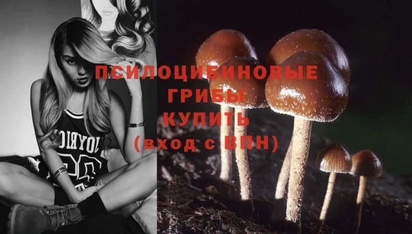 шишки Балахна